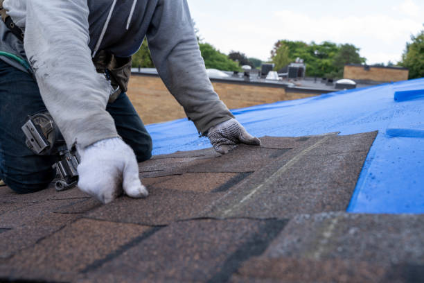Quick and Trustworthy Emergency Roof Repair Services in Pasadena, CA